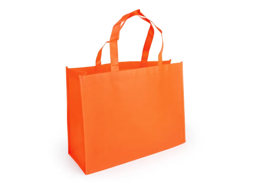 Janice Bag 2