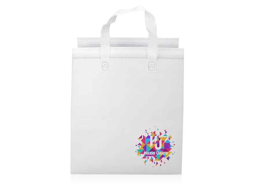 Bolsa Cargo 2