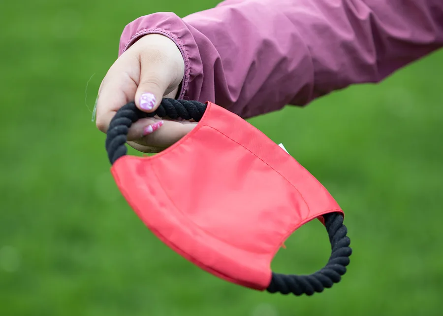 Frisby para Mascotas Hachiko 3