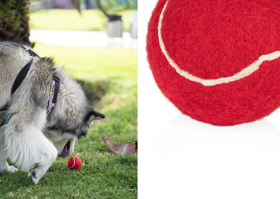 Pelota para Mascotas Marley 2
