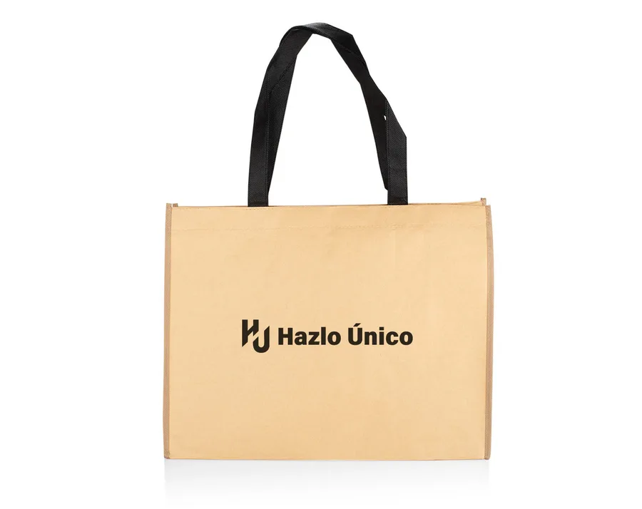 Bolsa Hoover 3