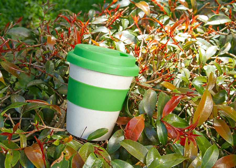 Vaso Bambú II 350 ml / 12 Oz 3