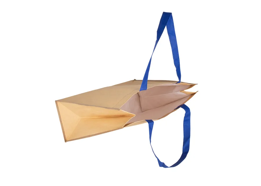 Bolsa Hoover 2