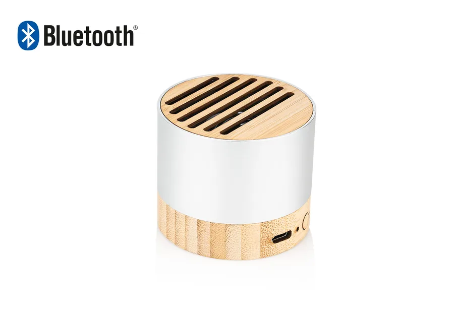 Altavoz New  2