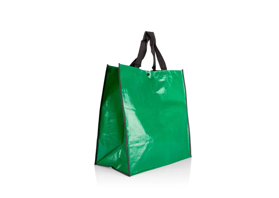 Bolsa Alicia 2