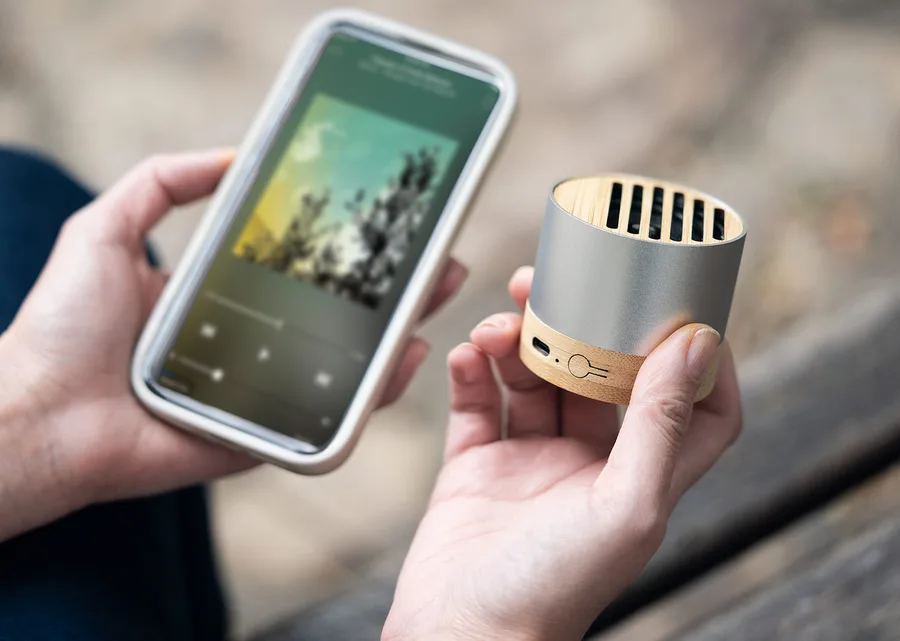 Altavoz New  4