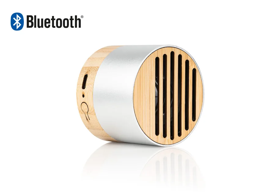 Altavoz New  3